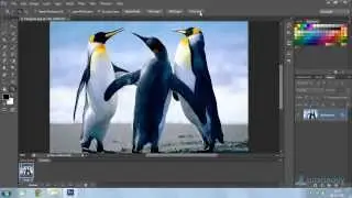 Photoshop Tutorial : Using Hand and Zoom Tool in Photoshop CS6