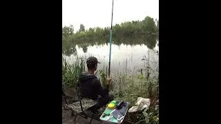 Рибалка на поплавок 🎣🎣🎣 на чудовому ллісовому озері. Клев карасів на манку. Рибалка в Україні.