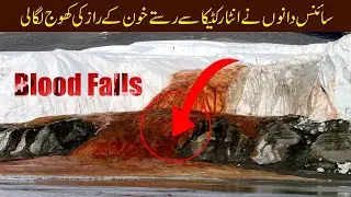 The Astonishing Secret Behind Antarctica’s Blood Falls Revealed