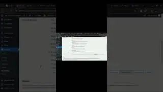How to solve wordpress error 404