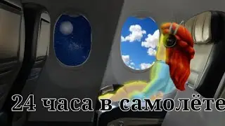 ||✈️24 часа в самолёте||Roblox||