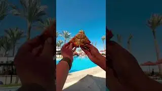 TRAVEL FOR FAN #travel #vacation #holiday
