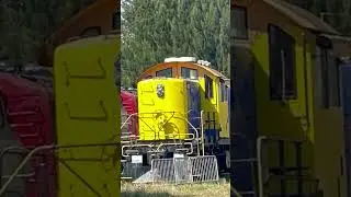 Trains at Gold Coast Railroad Museum #shorts #train  #goldcoastrailroad