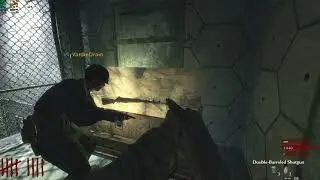 Ppsh i grant you