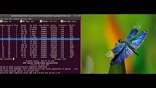 Dragon2fly  vpngate