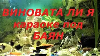 ВИНОВАТА ЛИ Я - КАРАОКЕ ПОД БАЯН