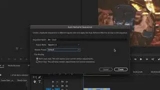 Premiere Auto Reframe