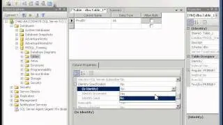 Creating the Products Table in Managment Studio.avi