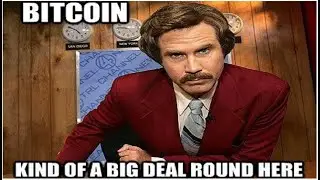 Bitcoin Boomers are back! 💎💪🏼🚀