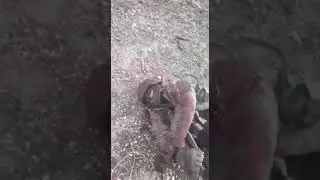 Турки турки ХРРР-ТЬХУ / Dead turks in Idlib