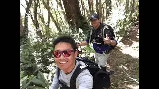 Hiking and climbing at Mt.Holdsworth new zealand