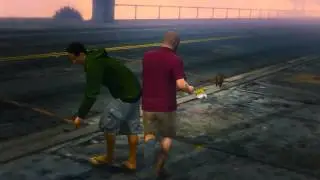 kick the poor kitty