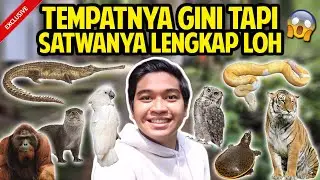 CIKEMBULAN ZOO PART 1 | KEBUN BINATANG GARUT | TEMPATNYA BEGINI TAPI SATWANYA SELENGKAP INI LOH!