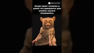 Когда налог оплатил и узнал что реквизиты для уплаты налога поменялись 