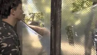 СОБР 11 серия