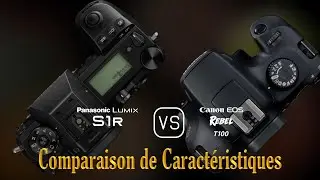 Panasonic Lumix S1R vs. Canon EOS Rebel T100: Une Comparaison de Caractéristiques