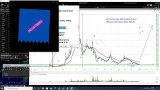 My Preliminary Elliott Wave Count Nikola Corporation Stock