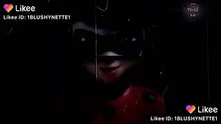 Леди баг и супер кот