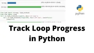 Track Loop Progress in Python