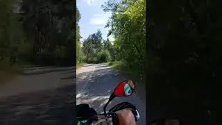 На эндуро по лесной дороге