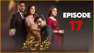 Meray Paas Tum Ho Episode 17 | Ayeza Khan | Humayun Saeed | Top Pakistani Drama