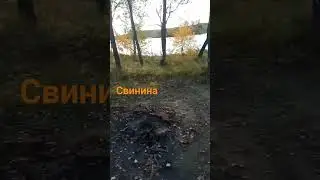 свинина наших дней