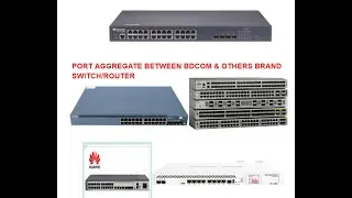 How to configure BDCOM Port Aggregate between BDCOM  to Others brand?