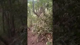 Jalur Mendaki Gunung BlackParade 