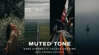 Free Presets for Lightroom mobile | How do I get muted tone in Lightroom? 