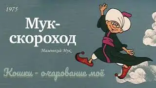 Мук - скороход. Кошки - очарование моё.