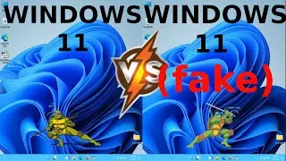 Windows  11 vs  Fake Windows 11 (Linux)