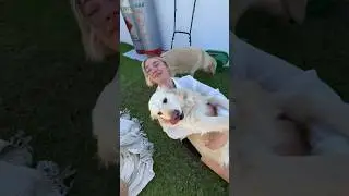 THE MOST EMOTIONAL DOG REUNION🥹 