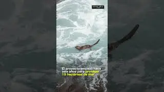 Pescadores artesanales crean sus propios refugios marinos para proteger la biodiversidad costera