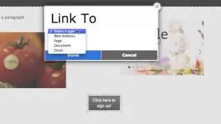 Website.com: Getting Started