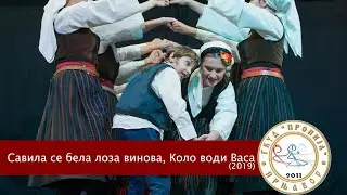 Savila se bela loza vinova, Kolo vodi Vasa - GKUD 