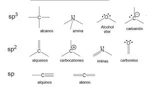 INTRODUCCION A LA QUIMICA ORGANICA: CARBONO, COMPUESTOS ORGANICOS, CLASICACION, GRUPOS FUNCIONALES