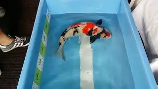 17 June 2018