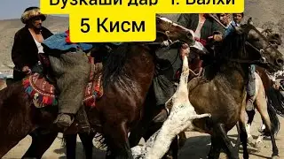 Бузкаши дар Ч Балхи 5 Кисм