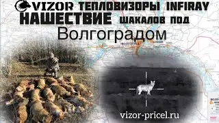 Нашествие шакалов.( только выстрелы),,, 17 хищников
