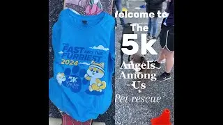 A day @ the 5k with Angels among us, pet rescue #entertainment #dog