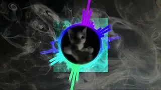 дымок
