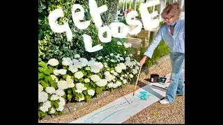 Get Loose with your painting