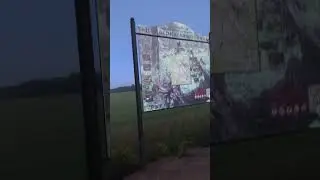 #кологрив #гуси #лето