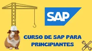 8. Estructuras Organizativas en SAP II - CURSO DE SAP PARA PRINCIPIANTES