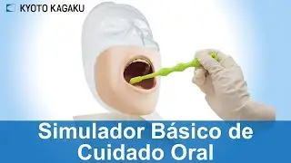 Simulador Basico de Cuidado Oral M89 Kyoto Kagaku