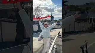Япония: цены в Киото🪭⛩️ 