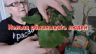 Гражданский долг выполнила? Я просто не умею это делать...