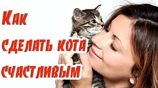 ➤ Как сделать кота счастливым ➤ Я сделал так что кот меня любит ➤ Братья наши меньшие