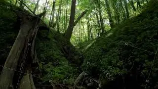 Drone flight through ravine