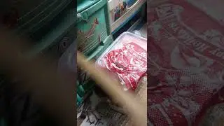 laro.laro ang mga kittens